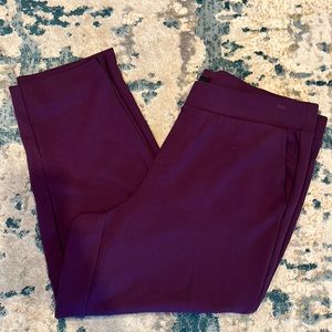 Torrid studio size 2x